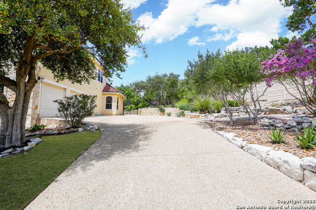 315 Tulorosa, Helotes, Texas image 4