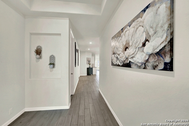 1417 Quarry Rock, New Braunfels, Texas image 3