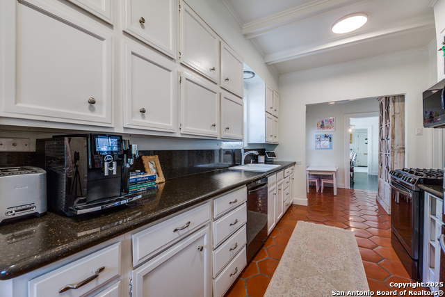 352 Blue Bonnet, Alamo Heights, Texas image 14