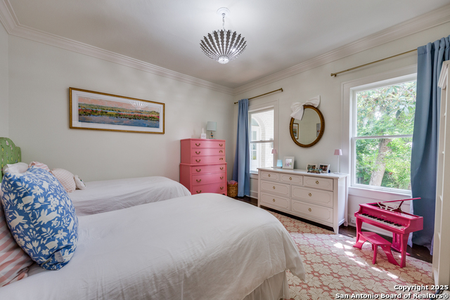 352 Blue Bonnet, Alamo Heights, Texas image 15