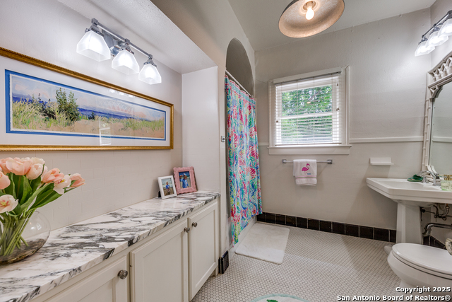352 Blue Bonnet, Alamo Heights, Texas image 16