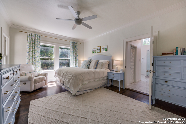 352 Blue Bonnet, Alamo Heights, Texas image 17