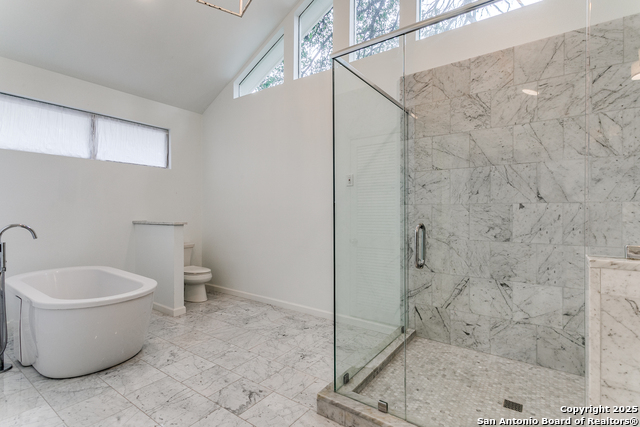 352 Blue Bonnet, Alamo Heights, Texas image 20