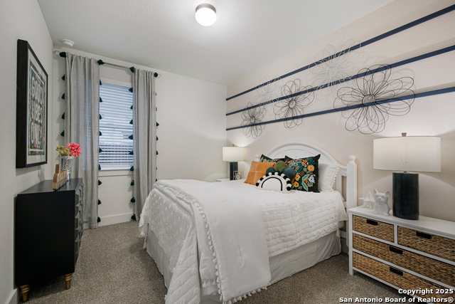 519 White Oak, Castroville, Texas image 16