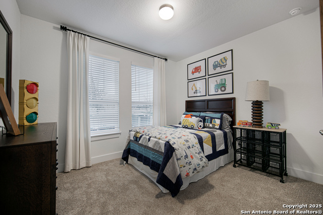 519 White Oak, Castroville, Texas image 18