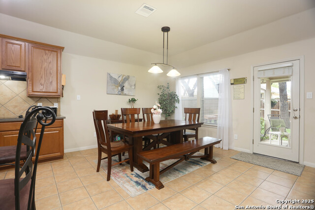 8803 Shuteye Peak, Helotes, Texas image 11