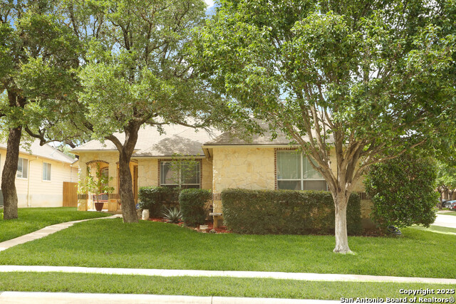 8803 Shuteye Peak, Helotes, Texas image 2