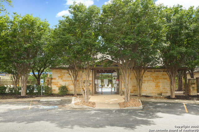 8803 Shuteye Peak, Helotes, Texas image 28