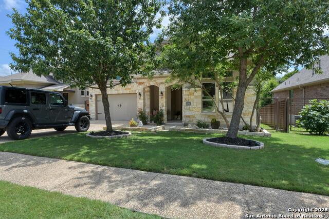 32192 Tamarind, Bulverde, Texas image 3