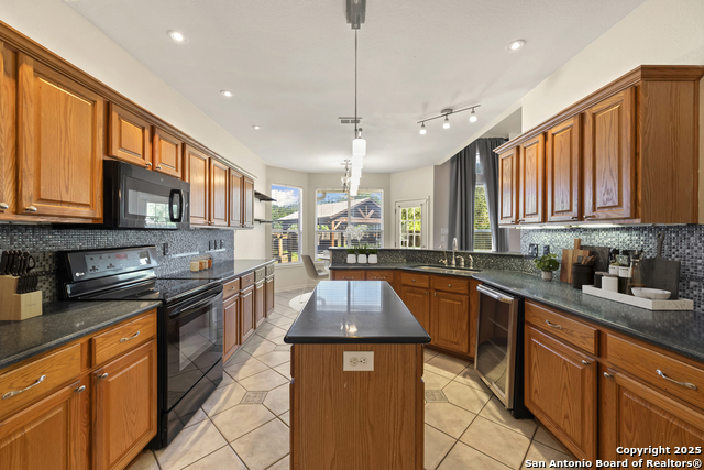 9615 Paseo Tejana, Helotes, Texas image 6