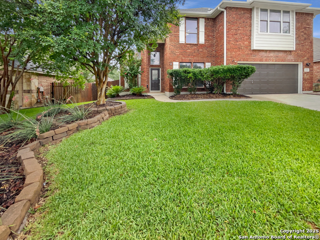 14203 Windy, Helotes, Texas image 10