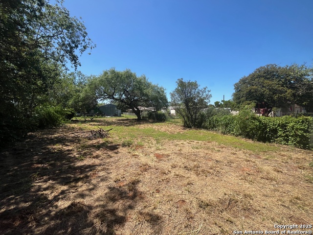 130 N Trevino, Pearsall, Texas image 8