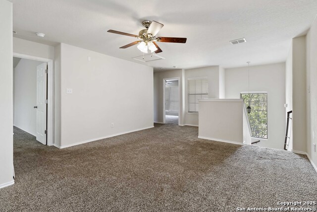10107 Roseangel, Helotes, Texas image 16