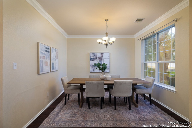 2305 Little Elm, cedar park, Texas image 10