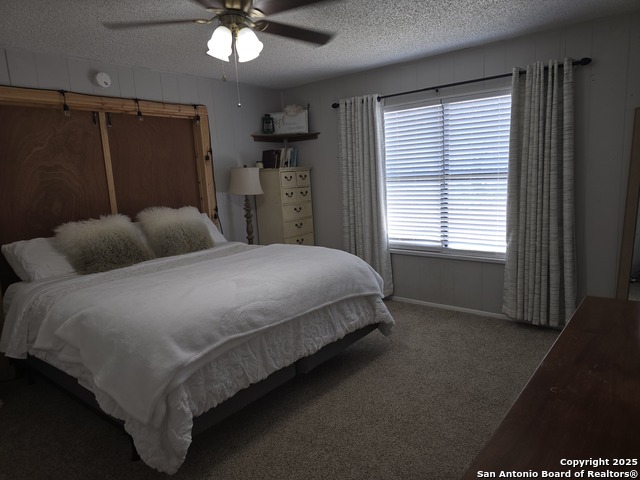 501 Green Street, Poth, Texas image 16