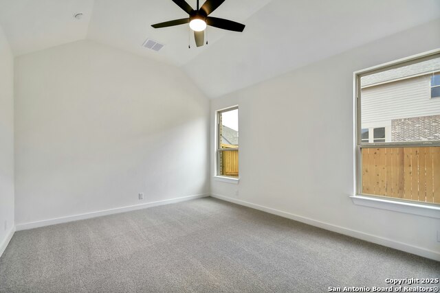 1842 Nettletree, New Braunfels, Texas image 11