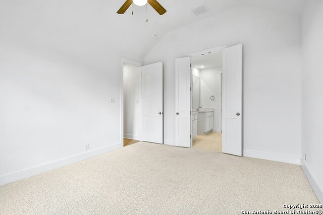 1846 Nettletree, New Braunfels, Texas image 10