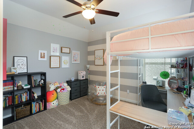 25618 Nabby Cove, San Antonio, Texas image 25