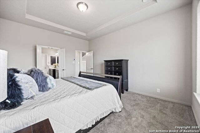3132 Birch Bend, New Braunfels, Texas image 18