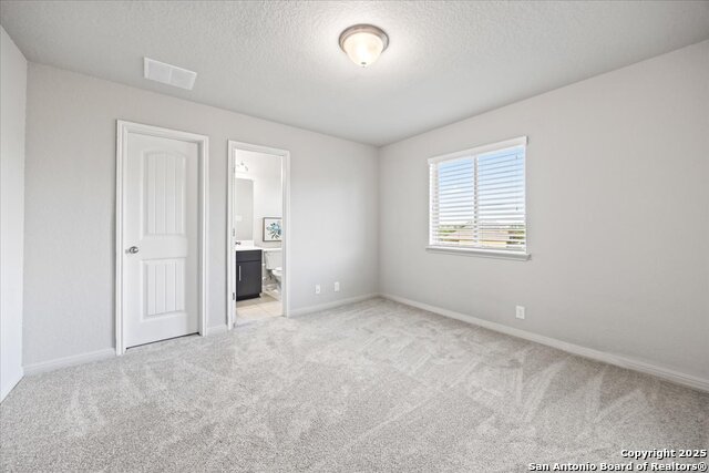 3132 Birch Bend, New Braunfels, Texas image 27