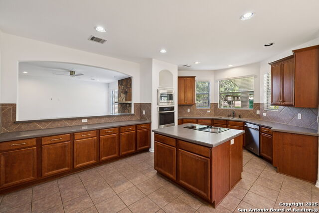 9031 Arroyo Hondo, Helotes, Texas image 12