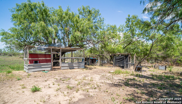 114 Pace Miller, Del Rio, Texas image 10