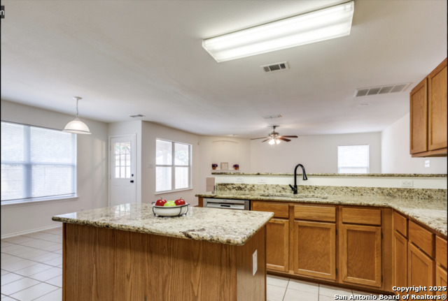 11323 Newkirk, Helotes, Texas image 14