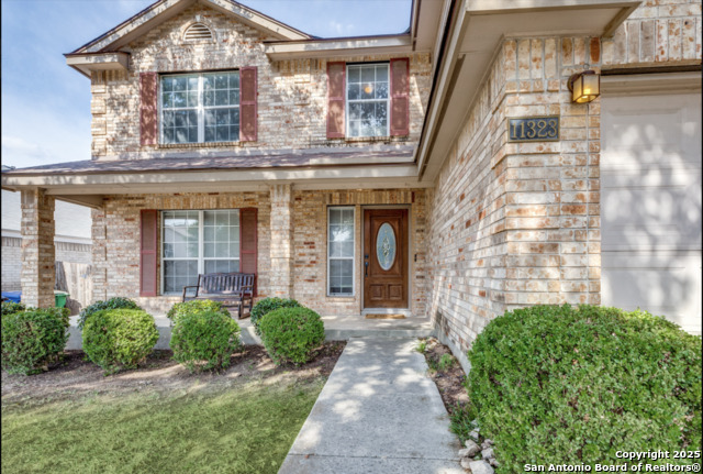 11323 Newkirk, Helotes, Texas image 2