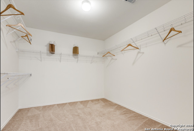 11323 Newkirk, Helotes, Texas image 29