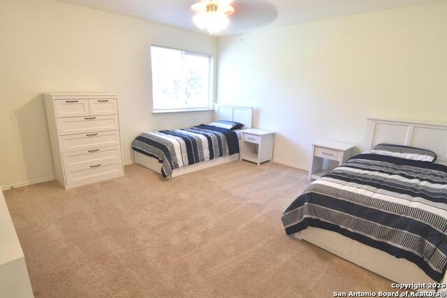 11323 Newkirk, Helotes, Texas image 34