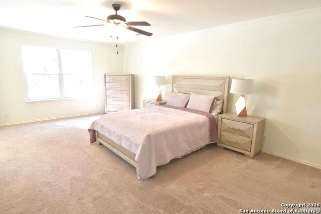 11323 Newkirk, Helotes, Texas image 38