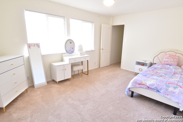 11323 Newkirk, Helotes, Texas image 41