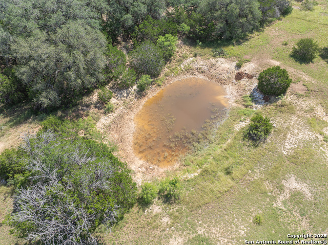 1628 County Road 357, Utopia, Texas image 32