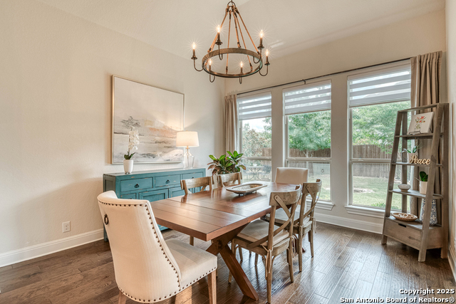 27418 Clematis, Boerne, Texas image 9