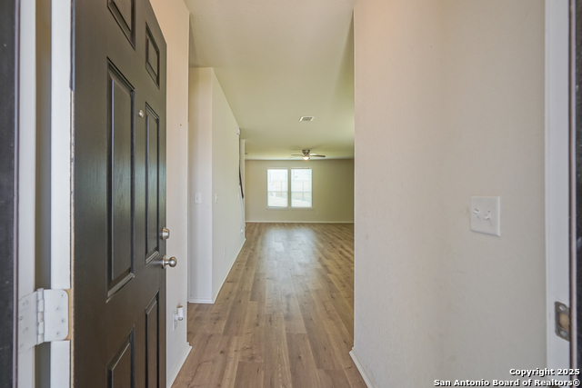 27422 Bighorn Sheep, Boerne, Texas image 7