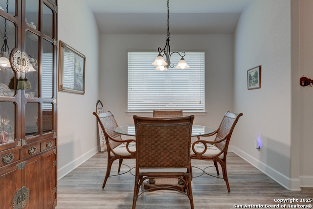 28914 Throssel, San Antonio, Texas image 12