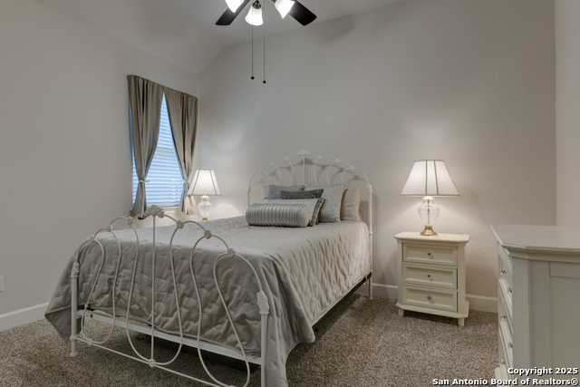 28914 Throssel, San Antonio, Texas image 25
