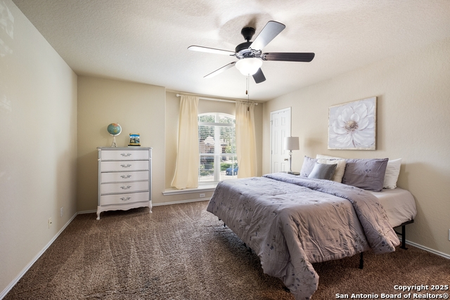 280 Tufted, San Antonio, Texas image 26