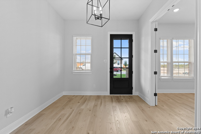 174 Azalea Alley, Castroville, Texas image 18