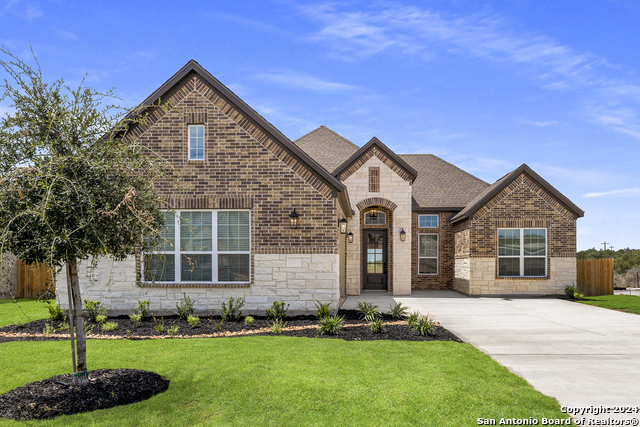 190 Azalea Alley, Castroville, Texas image 1