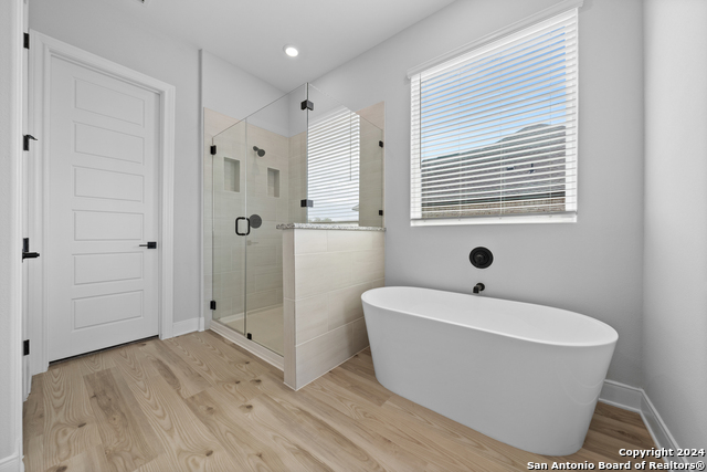 190 Azalea Alley, Castroville, Texas image 17