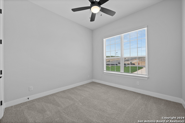 190 Azalea Alley, Castroville, Texas image 18