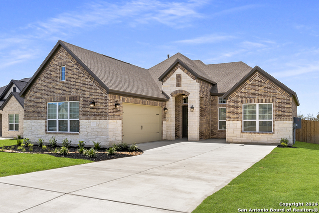190 Azalea Alley, Castroville, Texas image 2