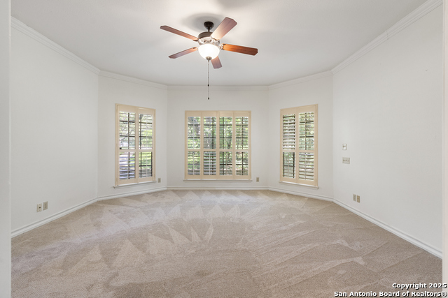 10623 Alta Loma, Helotes, Texas image 25