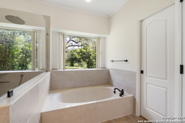 10623 Alta Loma, Helotes, Texas image 28