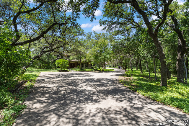 10623 Alta Loma, Helotes, Texas image 3