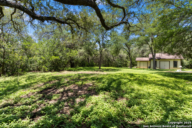 10623 Alta Loma, Helotes, Texas image 39