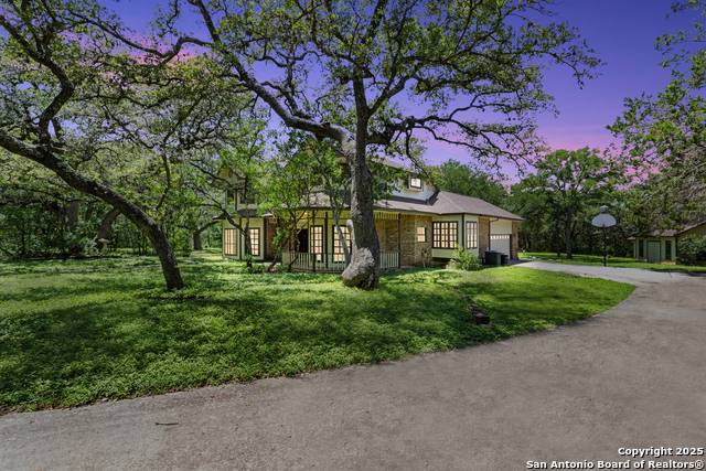 10623 Alta Loma, Helotes, Texas image 4