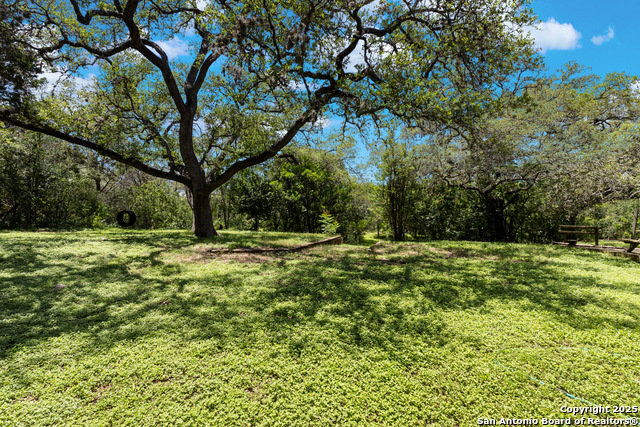 10623 Alta Loma, Helotes, Texas image 44