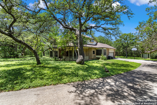 10623 Alta Loma, Helotes, Texas image 5